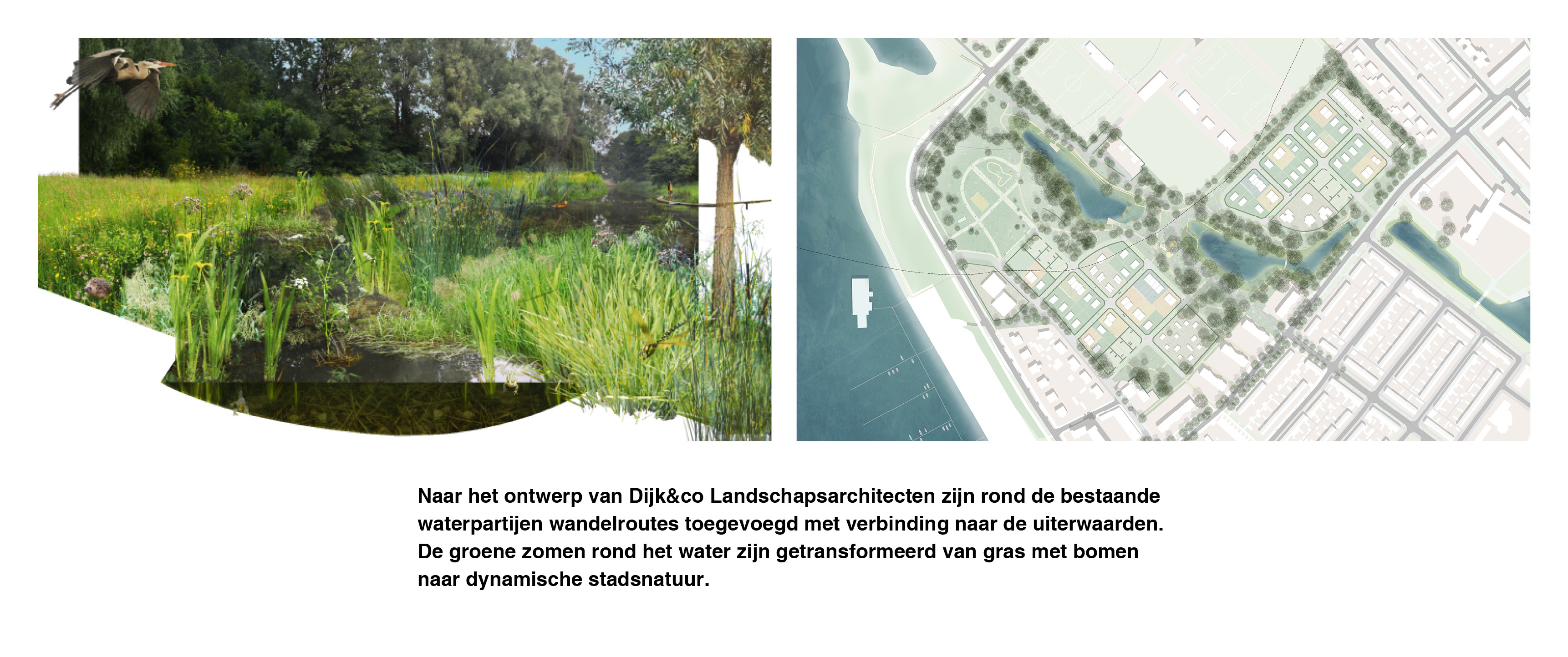 Deventer Zandweerd |  Informeel wonen aan een tuinpad op natuurinclusieve zelfbouwkavels 8