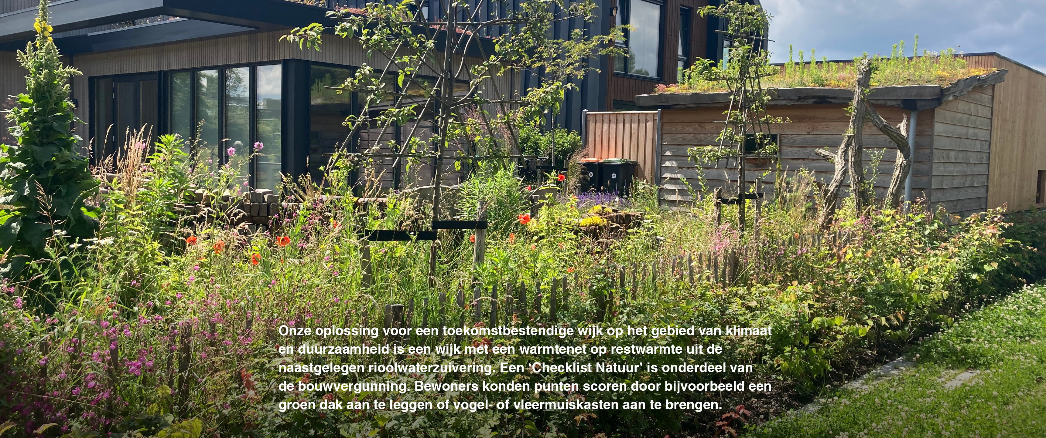 Deventer Zandweerd |  Informeel wonen aan een tuinpad op natuurinclusieve zelfbouwkavels 9