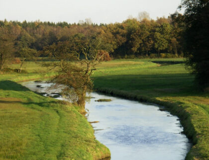 NationaalParkDrentscheAa