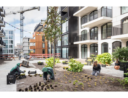 bomen daktuin parkeergarage natuurinclusief klimaatadaptief biodiversiteit