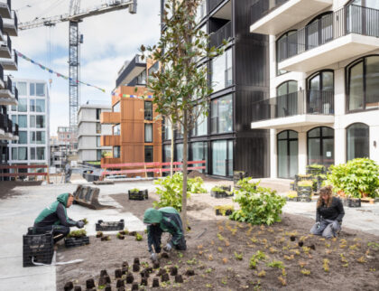 bomen daktuin parkeergarage natuurinclusief klimaatadaptief biodiversiteit