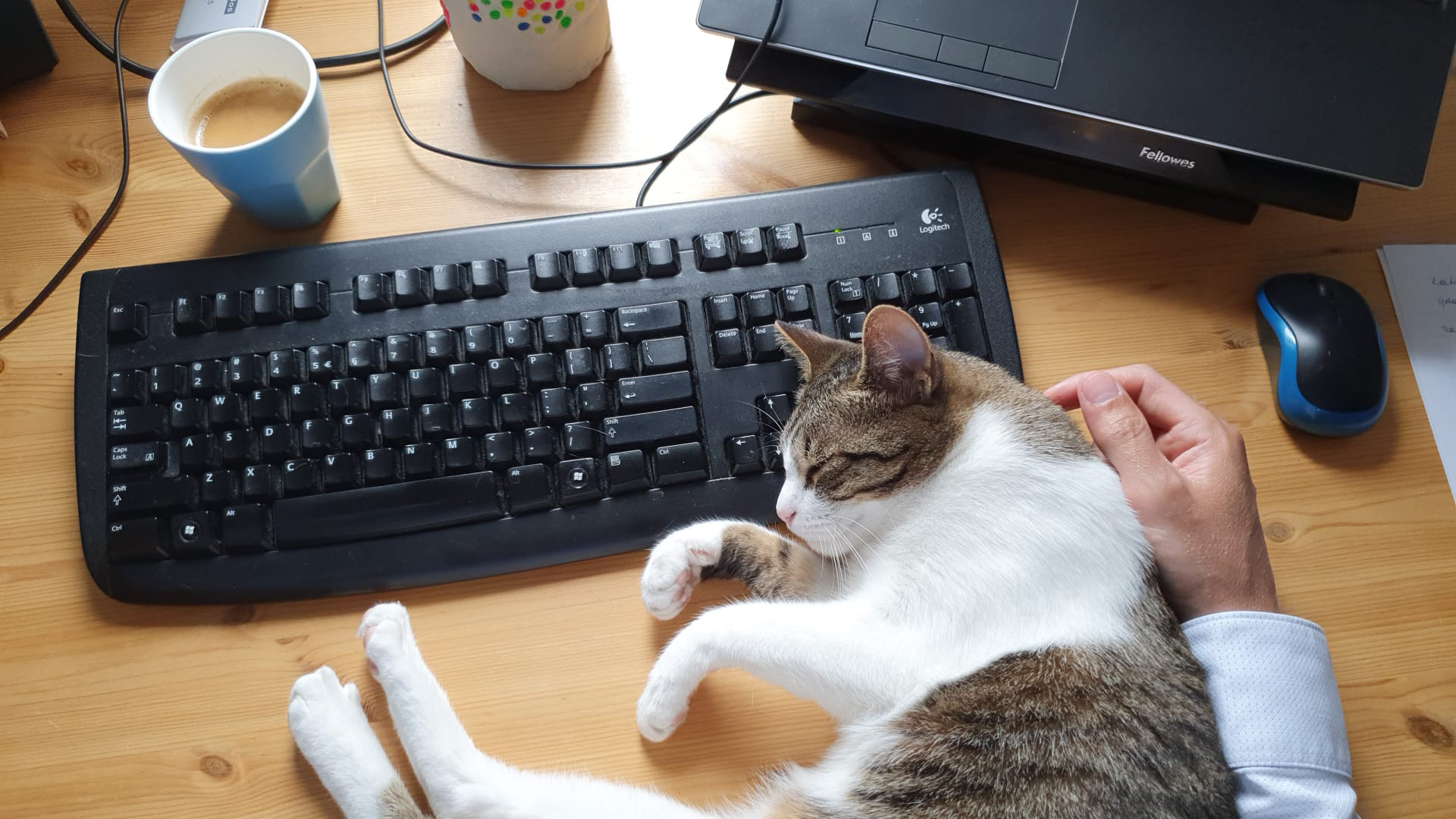 Ontwerpend onderzoek | Het Nieuwe Alledaags: ruimtelijke kansen na Corona