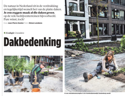 urhahn-volkskrant-oostenburg-daktuin