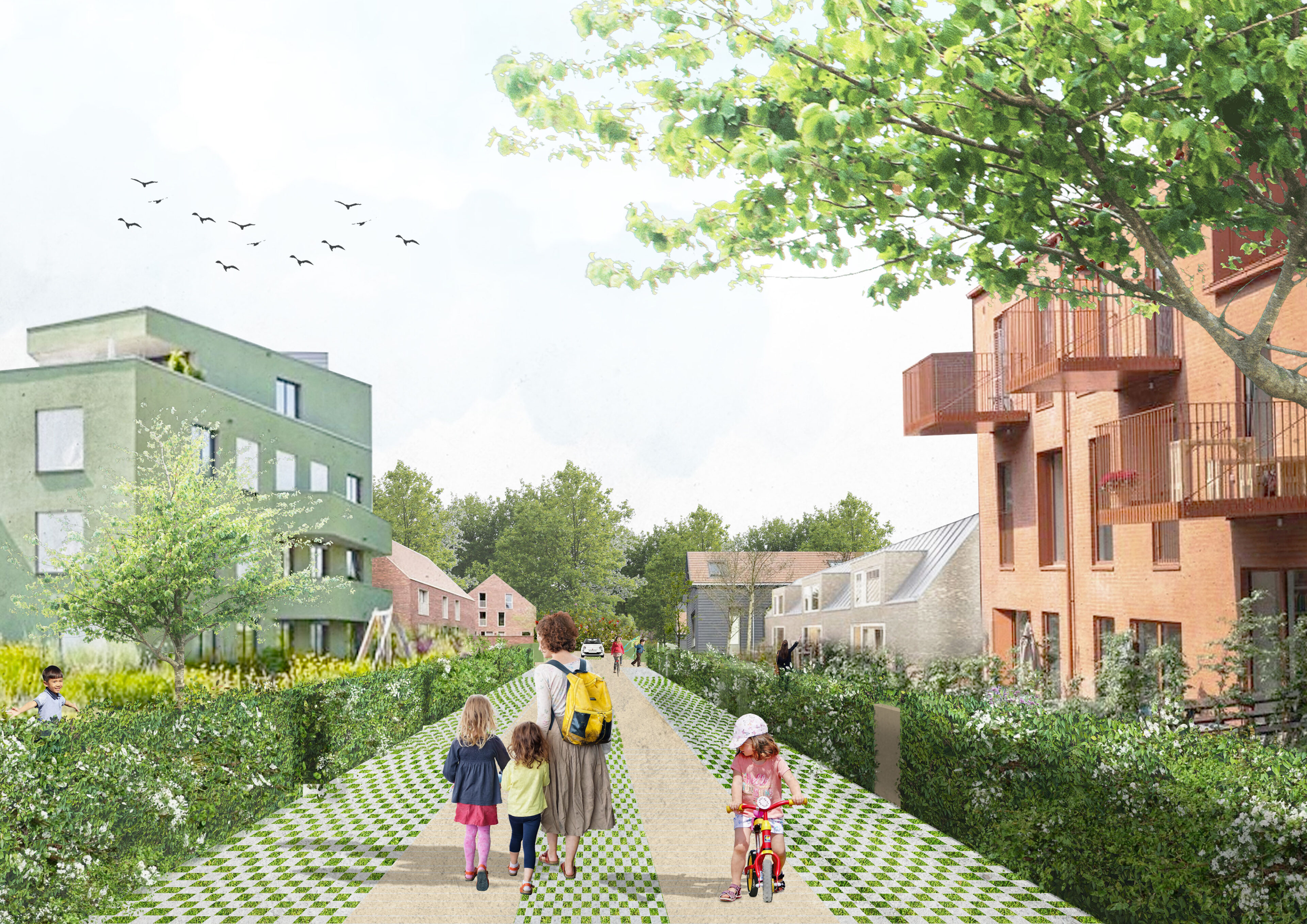 Wageningen Kennisas | Ecologie als basis voor verdichting 2